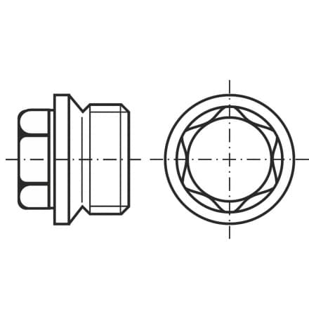 DIN 910-SS   Тапа (пробка) с б