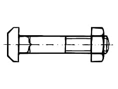 DIN 188-SS   Tee-head bolts wi