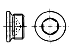 DIN 908-SS   Dop cu guler si l