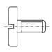 DIN 921-SS   Винт ниска цилинд