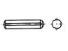 DIN 1473-SS   Stift cilindric 